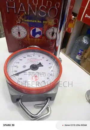 Hanging Scale 200kg
