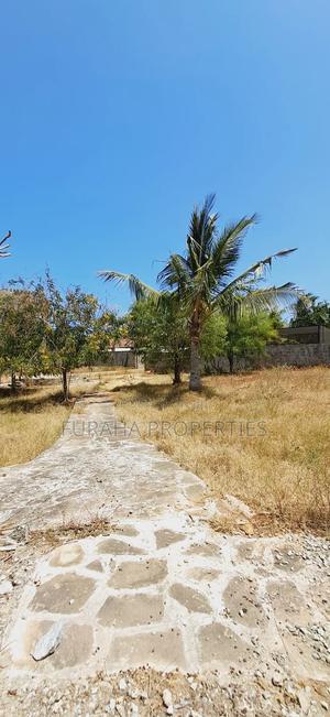 Quater Acre Plot for Sale - thumbnail 2