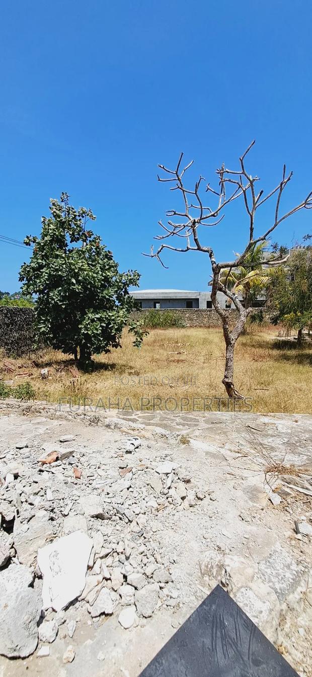 Quater Acre Plot for Sale - thumbnail 3