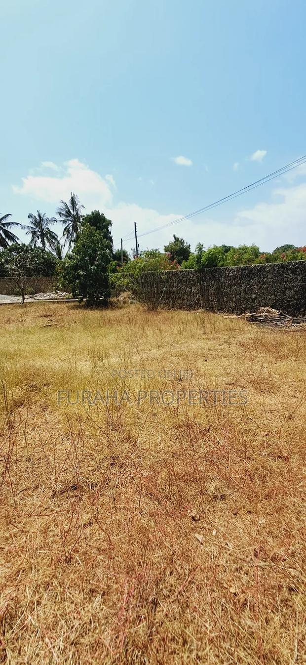 Quater Acre Plot for Sale - thumbnail 5