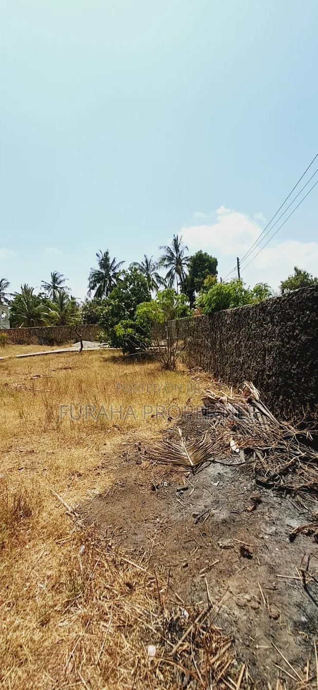 Quater Acre Plot for Sale - thumbnail 7