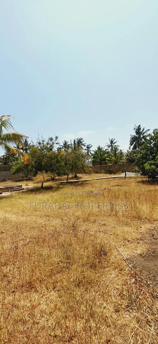 Quater Acre Plot for Sale - thumbnail 8