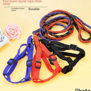 Dog Leash / Harness With Collar* - thumbnail 2