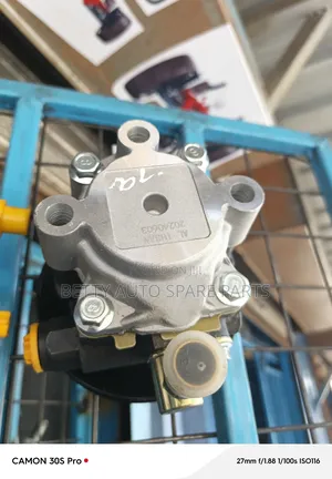 Toyota Shark 3 L Cartilage