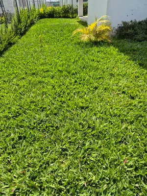 4bdrm Townhouse / Terrace in Rongai Next To, Maasai Lodge for rent