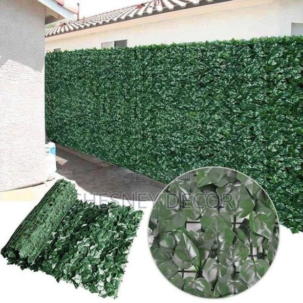 Garden Plant Fence