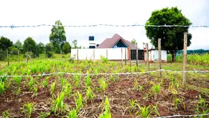 Prime Residential Plot for Sale in Kikuyu, Lusigetti