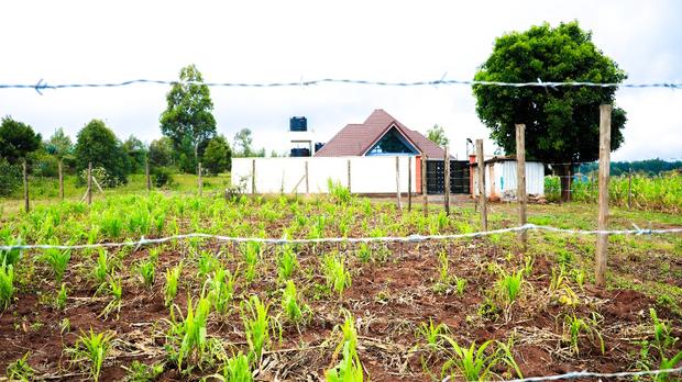 Prime Residential Plot for Sale in Kikuyu, Lusigetti - thumbnail 3