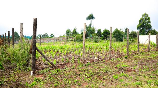 Prime Residential Plot for Sale in Kikuyu, Lusigetti - thumbnail 4