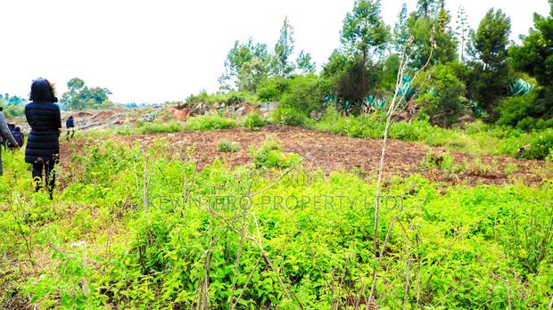 Prime Residential Plot for Sale in Kikuyu, Lusigetti - thumbnail 11