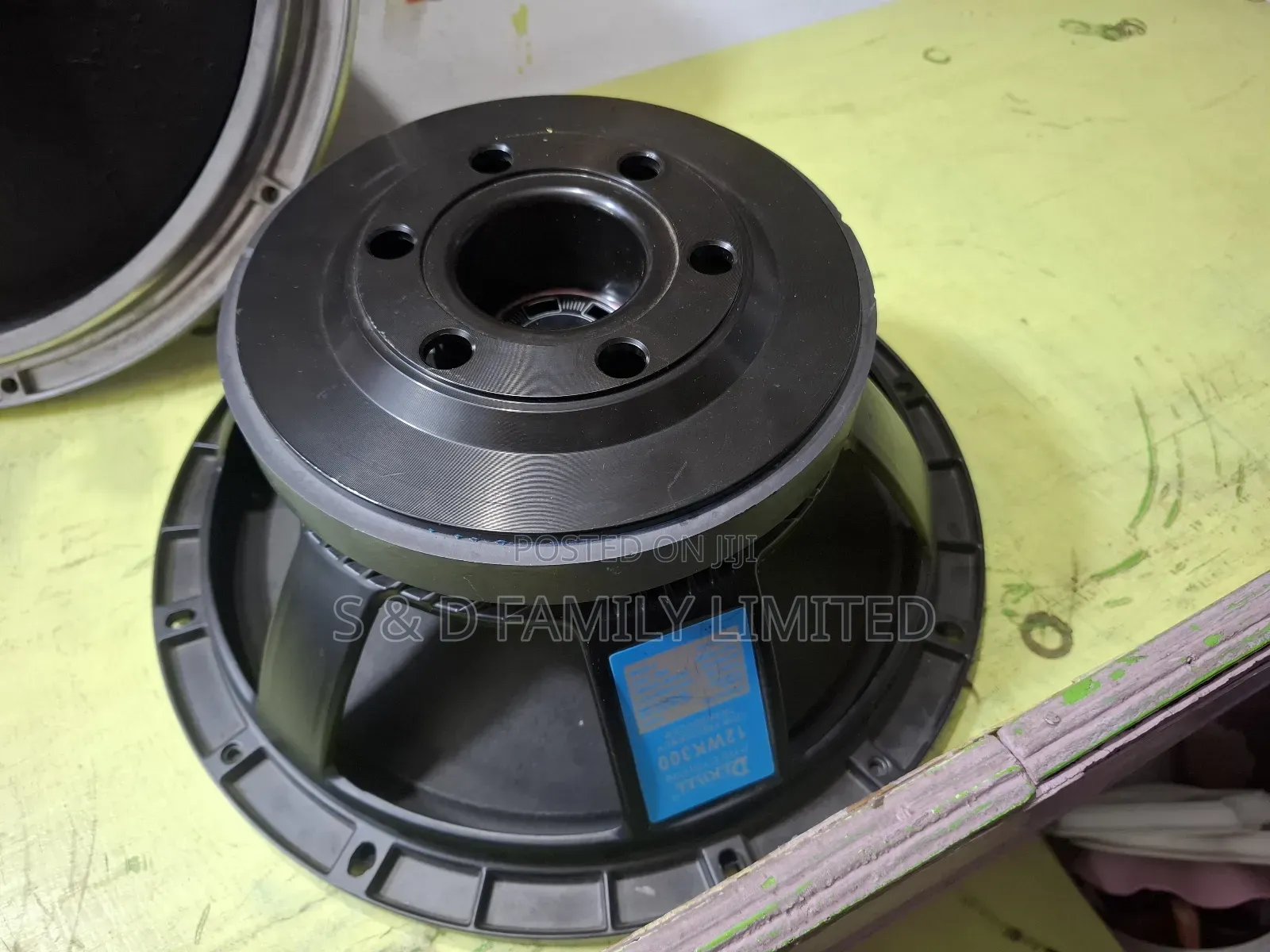 Derwel 12WK300 12 Inch Naked Speaker