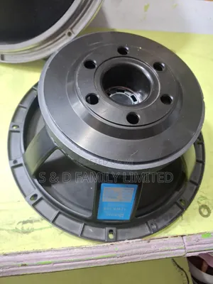 Derwel 12WK300 12 Inch Naked Speaker