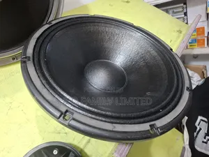 Derwel 12WK300 12 Inch Naked Speaker