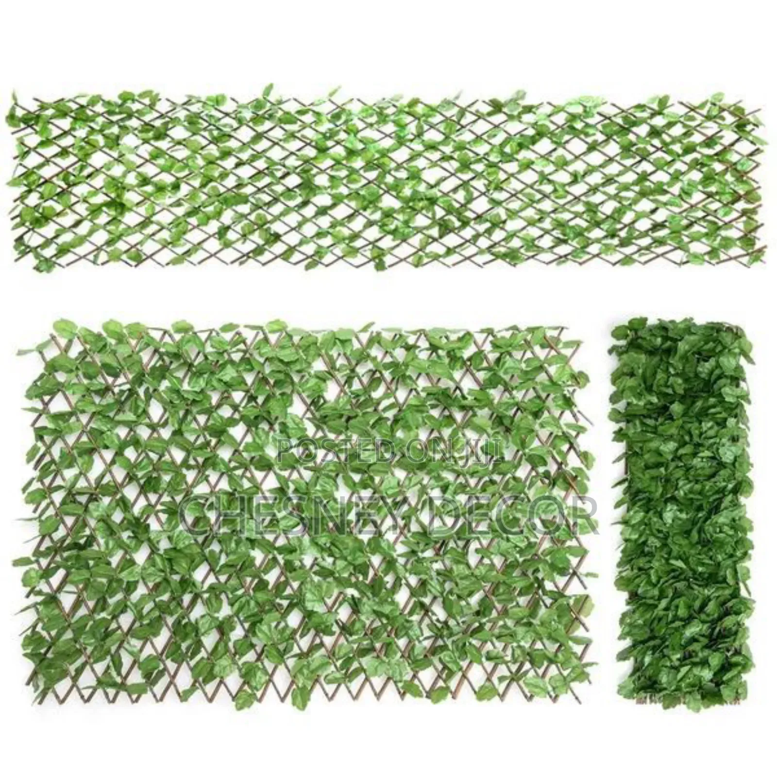 Expandable1 Ivyscreen