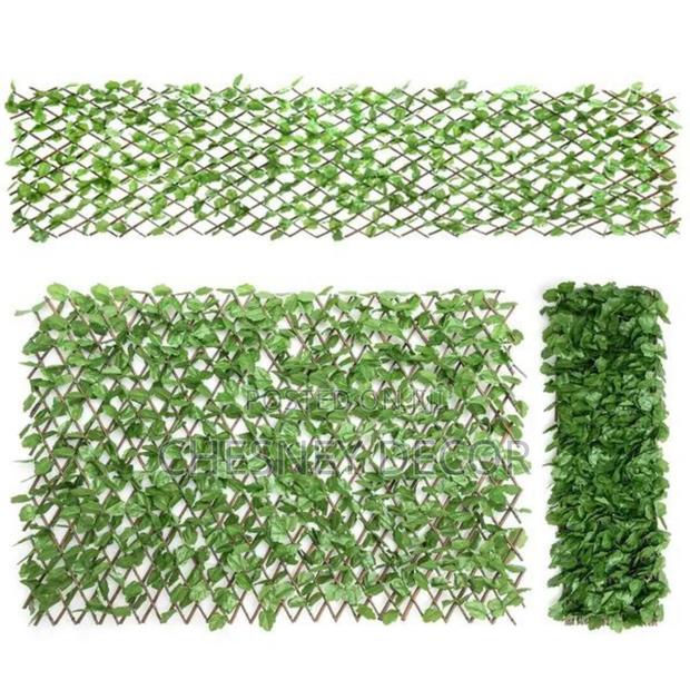 Expandable1 Ivyscreen