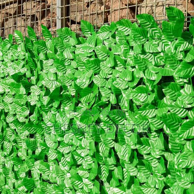 Decorative Balconygrass - main view