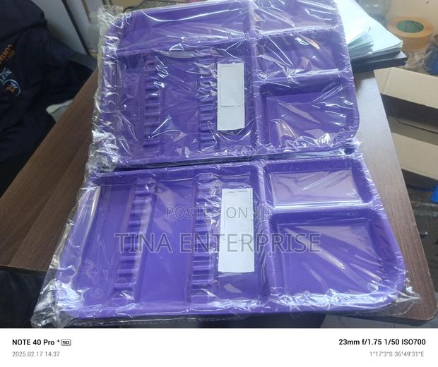 Dental Tray - main view