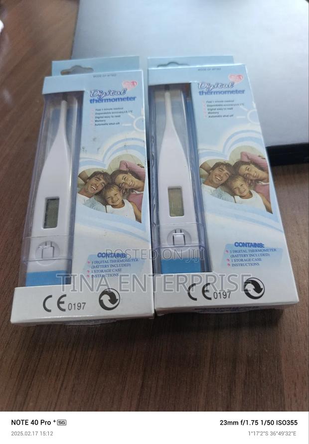 Digital Thermometer - main view