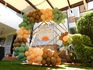 Balloon Backdrop Decor for Hire