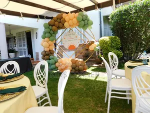 Balloon Backdrop Decor for Hire