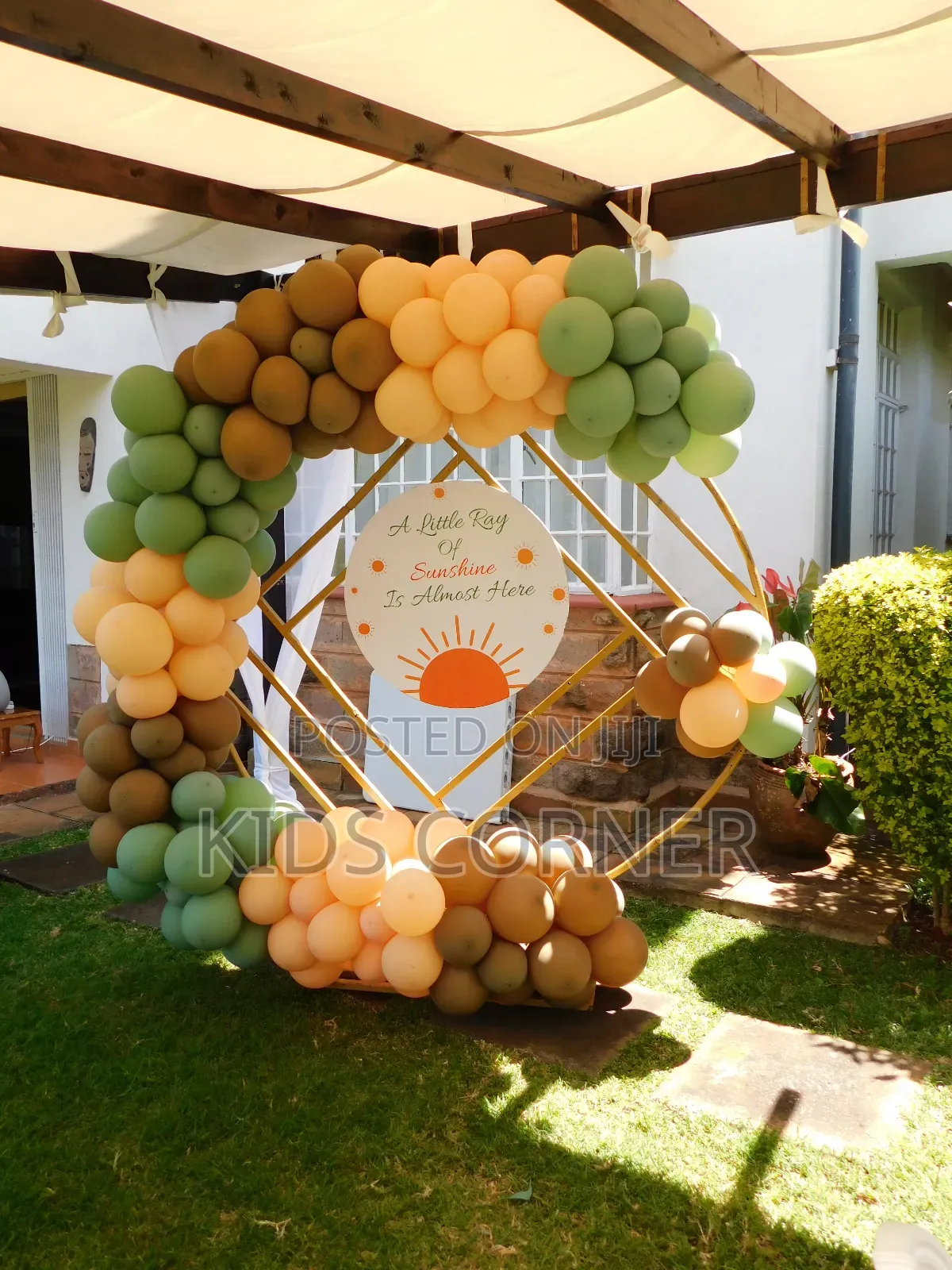 Balloon Backdrop Decor for Hire