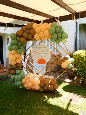 Balloon Backdrop Decor for Hire