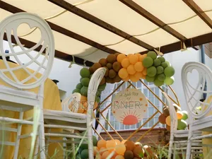 Balloon Backdrop Decor for Hire