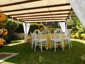Adults Chiavari Chairs Table Arrangements