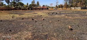 Plots for Sale in Eldoret Racecours Elgonview Border