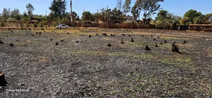 Plots for Sale in Eldoret Racecours Elgonview Border