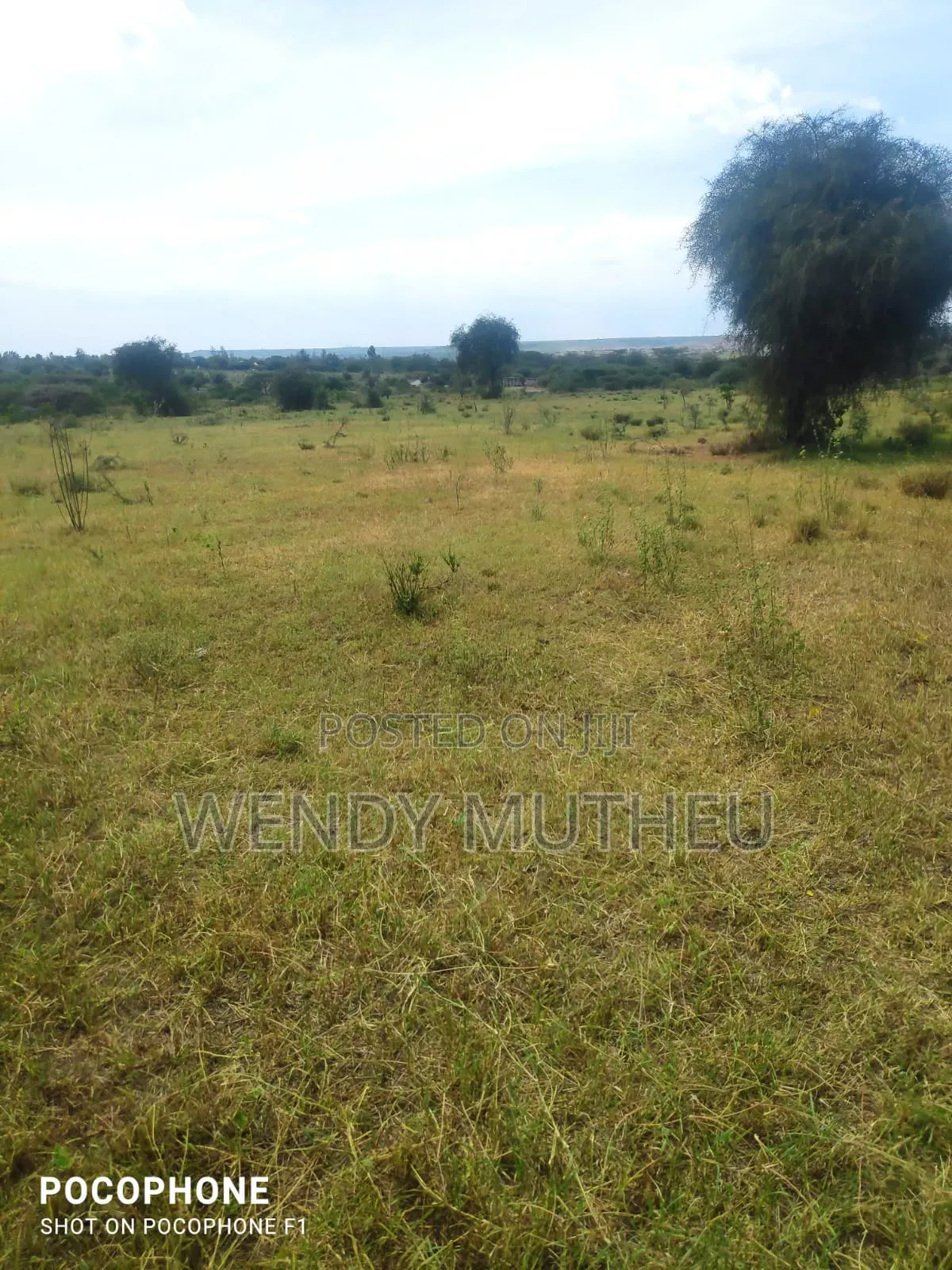 Prime Plots for Sale