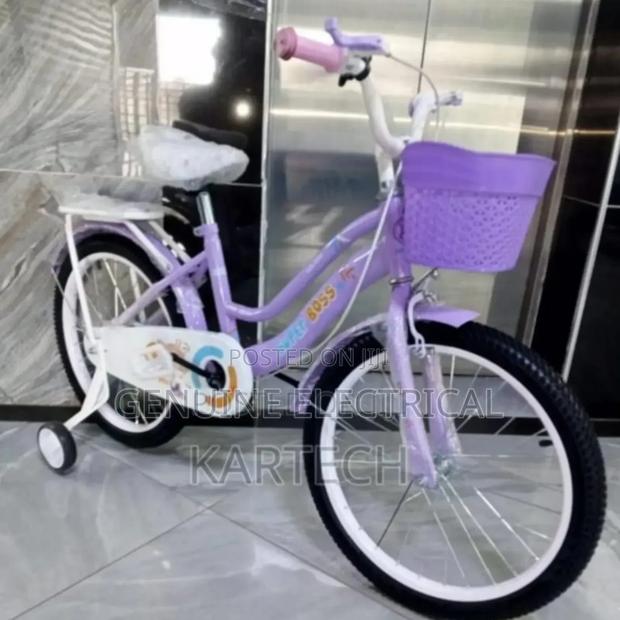 Size 16 Pink Bicycle