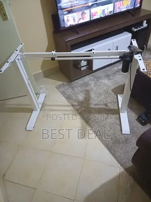 Ergonomic Electric Stand Desk