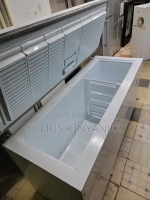 Commercial Deep Freezer