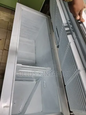 Commercial Deep Freezer