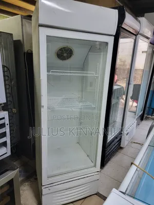 Standing Display Fridge 380L