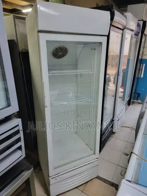 Standing Display Fridge 380L