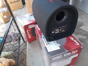 Car Audio Subwoofer System
