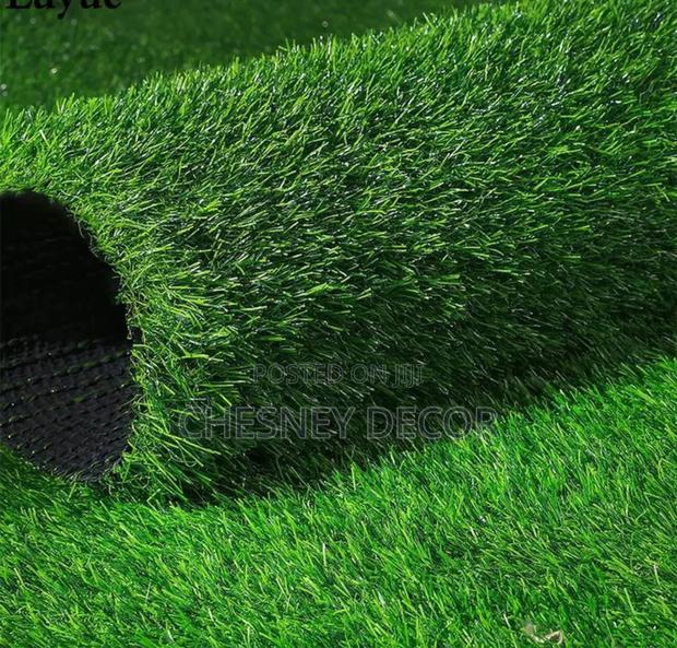 Solution for Your Backyard- Turfgrass - main view