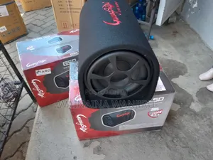 Car Audio Subwoofer System