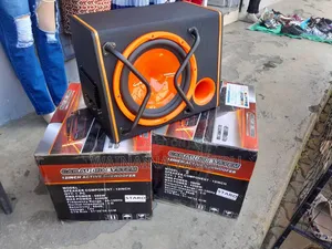 Car Subwoofer Audio System