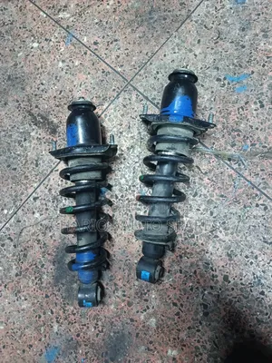 NZE Rear Shocks