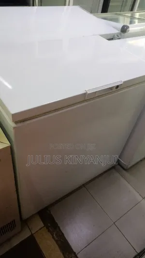 250L Fast Freezing Freezer