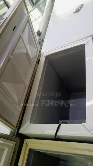 250L Fast Freezing Freezer