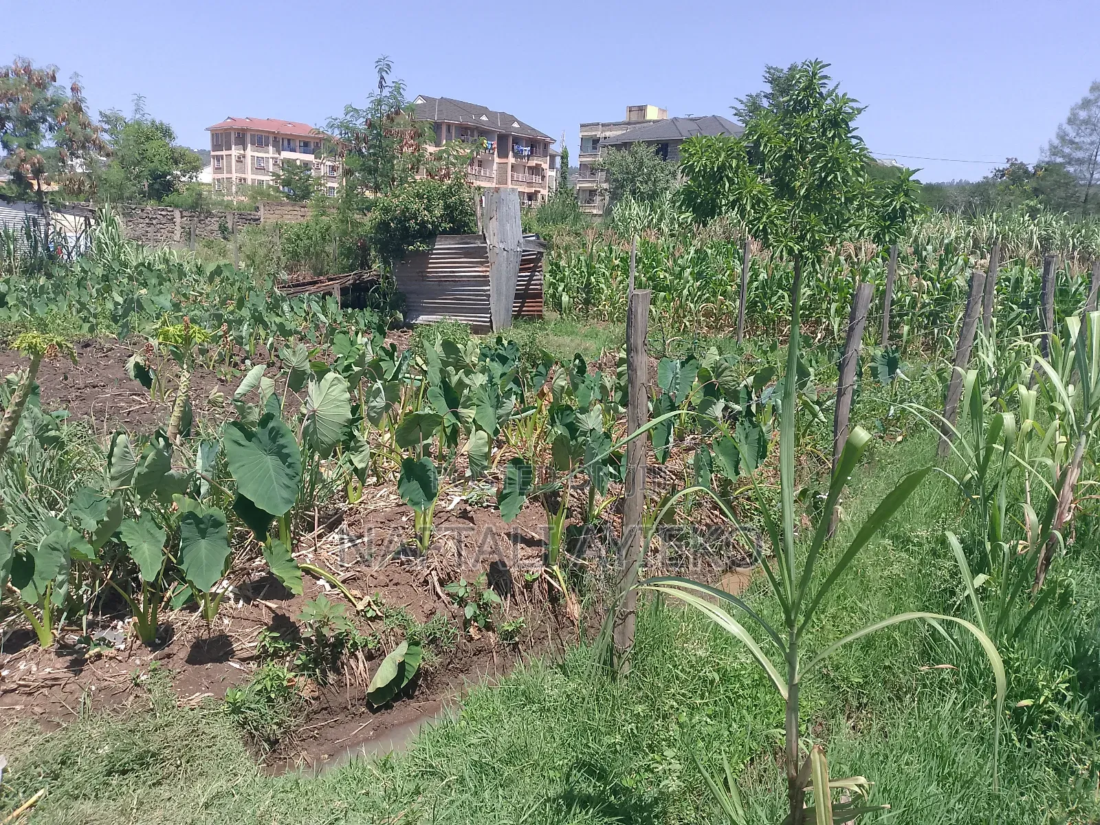 1/8 Acre Land for Sale Ideal for Rental Apartments.