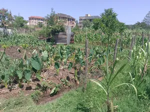 1/8 Acre Land for Sale Ideal for Rental Apartments.