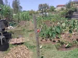 1/8 Acre Land for Sale Ideal for Rental Apartments.
