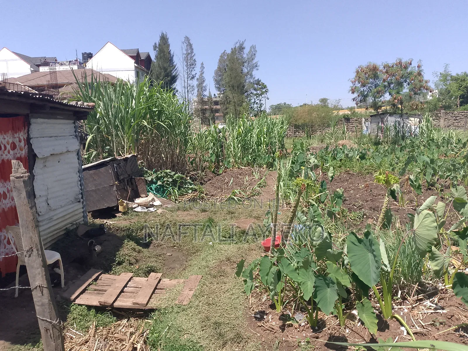 1/8 Acre Land for Sale Ideal for Rental Apartments.