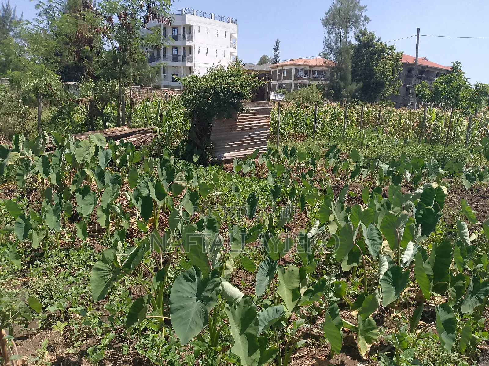 1/8 Acre Land for Sale Ideal for Rental Apartments.
