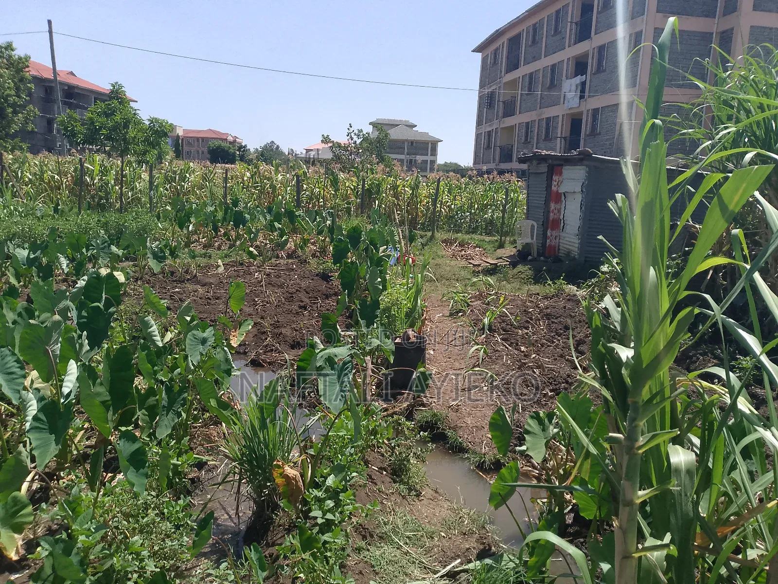 1/8 Acre Land for Sale Ideal for Rental Apartments.
